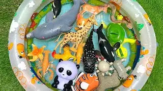 Underwater Toy Adventure Ocean Friends  | Toy World Learn Sea Names & Facts