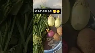 ପାଳଙ୍ଗ ଶାଗ ଭଜା 😋#youtubeshorts #viralshorts #ysdillipvlogs #recipe #odiafood #odisha