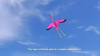 Воздушный змей Птица Фламинго 3D дизайнера Джоела Шольца