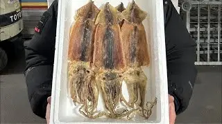 독도에서 독도새우를 먹은 독도마른오징어