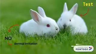 econazole part2