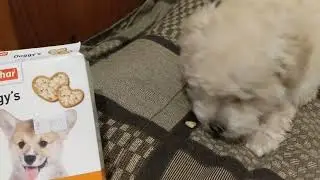 Beaphar Doggy's Junior - витамины для щенков