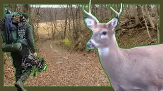Solo Backpack Overnight Archery Whitetail Public Land Hunt
