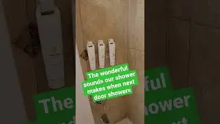 SHOWER GREMLIMS AT THE DANA ON MISSION BAY