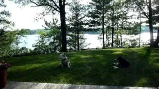 Gridley and Annie enjoy the afternoon breeze