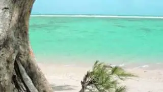 Fentura- Live It