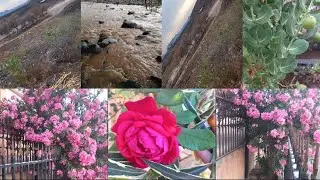 #ሀገሬ ናፈቀኝ#😓😞