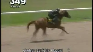 Briseo de Coqueta Chelsey,