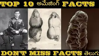Top 10 Amazing & Interesting Facts | Best Telugu Facts | Telugu Facts MCR FACTS IN TELUGU |