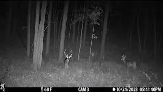 long tine 7 point 2