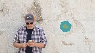 SCiO Cup &mdash; простой анализ кормов