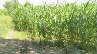 Duyan ni tatang❤️