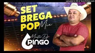 SET BREGA POP MIX - MASTER DJ PINGO 2021
