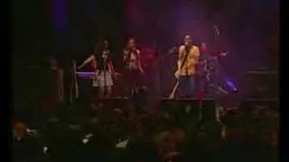 P. da Vida / Manequim - Afonso Nigro
