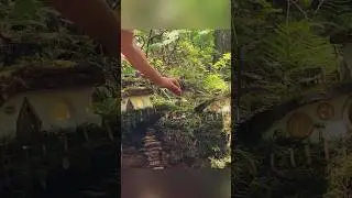 How about a little fairy village in the forest?