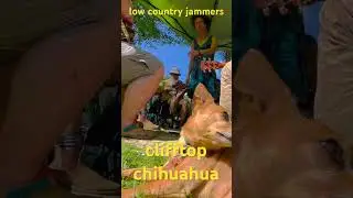 Chihuahua & Buckdance at Clifftop Appalachian Stringband Festival - Miss Moonshine & Mr B