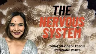 LESSON ON THE NERVOUS SYSTEM |TAGALOG