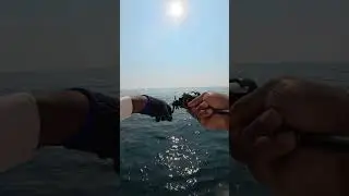 😎👊 SLAY APPROVED 🔥🐟! That Yellowtail Scad's got nothing on you 💪 #fishing #foryou #shortvideo #fish