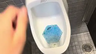 13,319A: Nov 3: Community College Men's Locker Room Restrooms | Read Desccription
