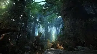 Road to 750GS,Debo Ring,Earring Enhancement-Limbo Drop --Black Desert Online