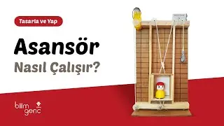 Asansör Nasıl Çalışır?
