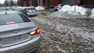 Extreme weather: Flooded streets in Ottawa
