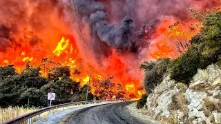 Wildfires engulf Turkey, situation on brink of disaster
