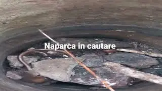naparca