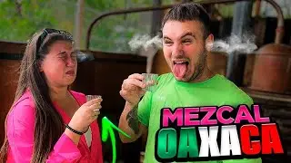 🇪🇸 ESPAÑOLES PRUEBAN MEZCAL en OAXACA y ASÍ ACABARON 🇲🇽😂 **80% vol. alcoh0l** 🔥🔥🔥