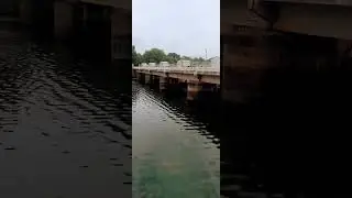 kuanria Dam.Daspalla, Nayagarh#youtubeshorts #shortvideo #viral #beautiful #place #nayagarh