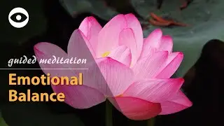 Guided Meditation Emotional Balancing | Meditation For Healing Emotions and Releasing Resistance