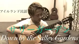 クラシックギターソロ『サリーガーデン』 アイルランド民謡 /編曲G.ライアン