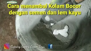 Cara Menambal Kolam Koi dengan Lem Fox dan semen