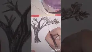 Easy freedom bird drawing