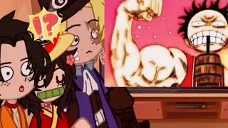 🏴‍☠️{~reaction_one piece + krd🇷🇺🇺🇸~}🏴‍☠️