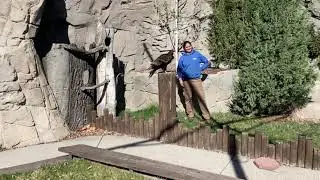 Bird Show BTS: Vulture Training