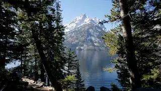 TOP 5 ACTIVITIES IN WYOMING!