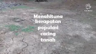Praktikum Ekologi ( Makrofauna Tanah) by Dyah Ratna Sari _1701070003