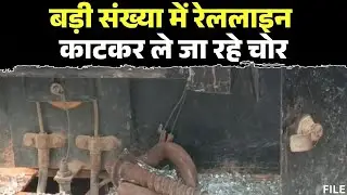 Korba News : गेवरा-पेंड्रा नई रेललाइन पर चोरों का आतंक | बड़ी संख्या में रेललाइन काटकर ले जा रहे चोर