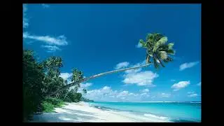 01/01/2026 - SAMOA INDEPENDENCE DAY