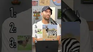 Ranking Animals You Caan Take In A Fight! Is He Right? #shorts #animals #fight #survival #rank