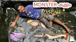 ഒരു കൂട്ടം 
