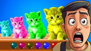 Renkleri keşfet eğitici video 🎈