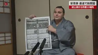 【速報】安青錦、最速で新関脇 初土俵から所要13場所