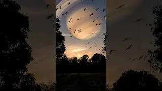 Saturn Hitting Earth 😱😱 शनि पृथ्वी से टकराया #shorts #saturn #space #viral #vfx #animation #planet