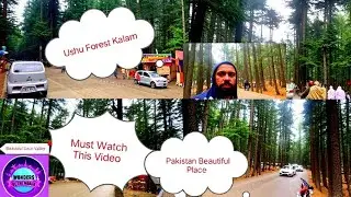 Ushu Forest Kalam Valley | Swat Valley | Beautiful Place | KPK Pakistan | Vlog 