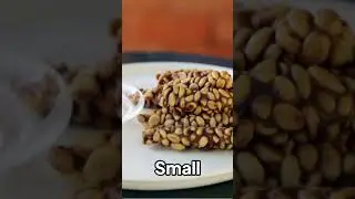 The Most Expensive Coffee in the World #shorts #coffee #expensivecoffee #luxury #coffeelover