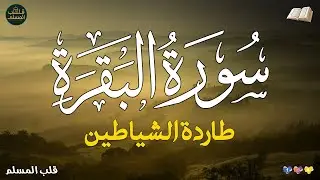 سورة البقرة 💫 تخلص من الطاقة السلبية وابدأ يومك بالبركة مع سورة البقرة | Surah Al-Baqarah