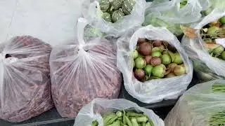 Organic vegetable harvest