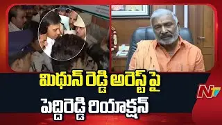 Peddireddy Ramachandra Reddy Reaction on Mithun Reddy Illegal Arrest | NTV Politics